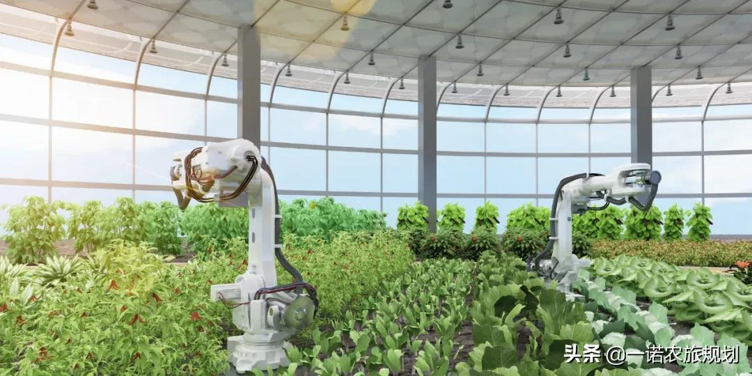 湖北方舟農業科技官網上線了